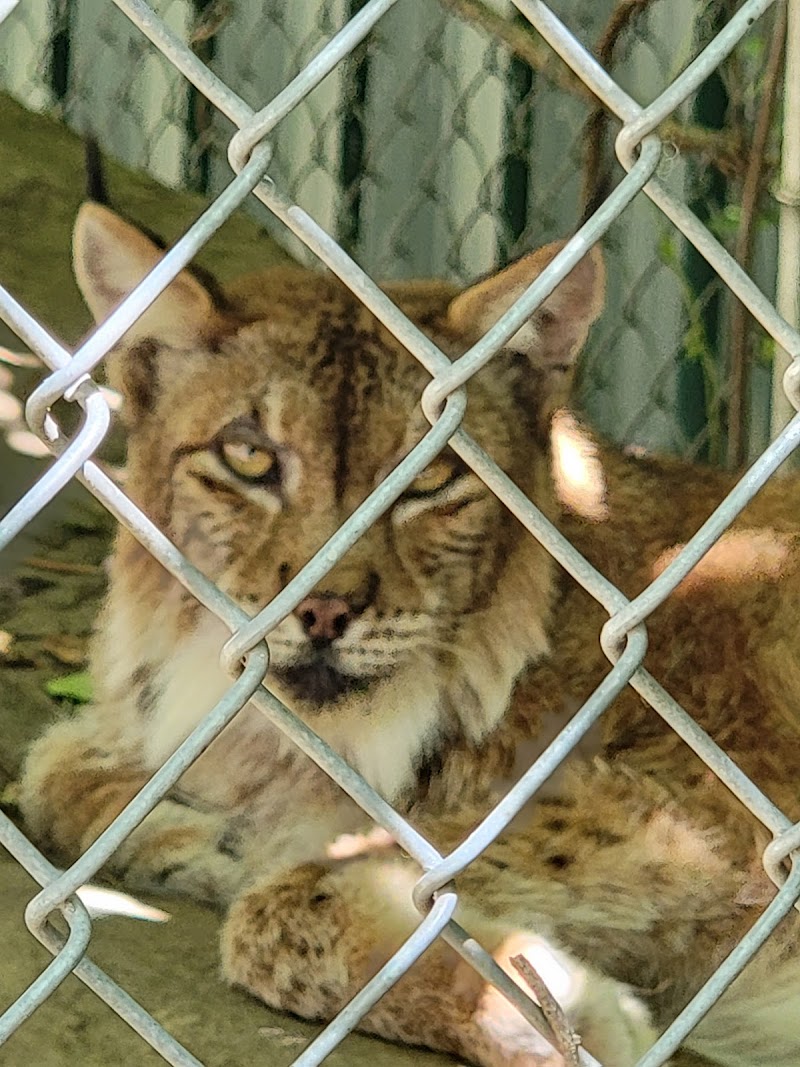 Animal Adventures Family Zoo & Rescue Center - Photo 6