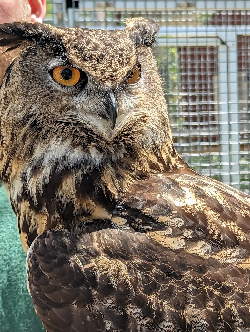 Animal Adventures Family Zoo & Rescue Center - Photo 3