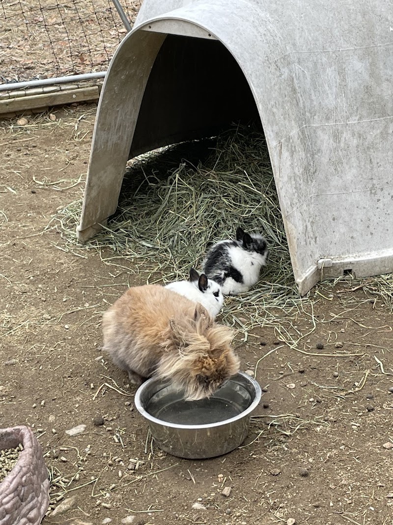 Animal Adventures Family Zoo & Rescue Center - Photo 1