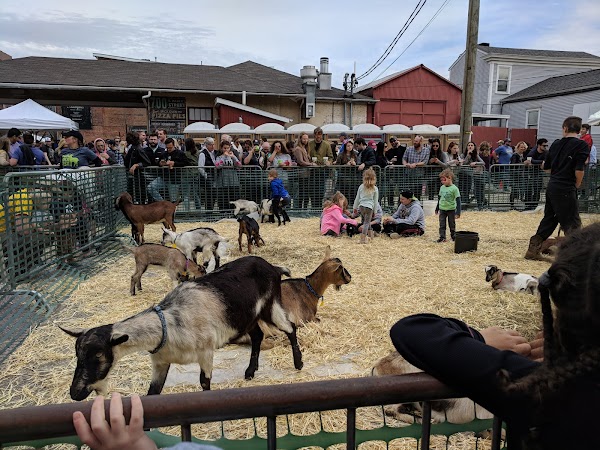 Photo by Big Fat Art Cat