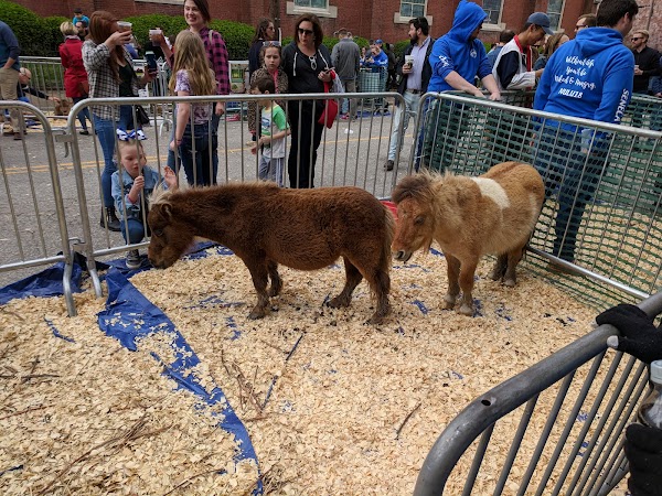 Photo by Sean Harrington