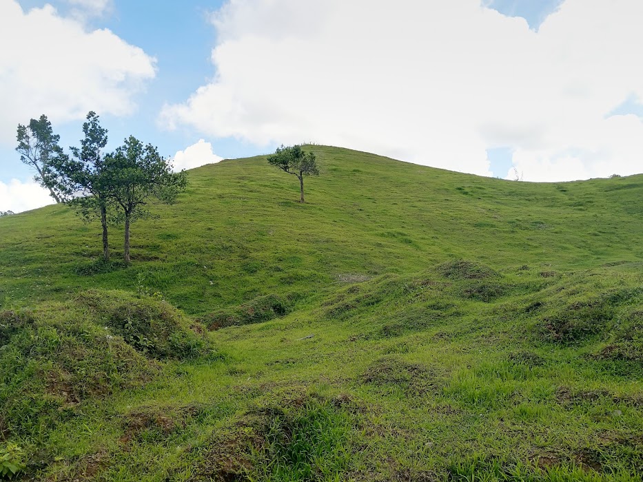 Sudlon National Park fotoğraf 1