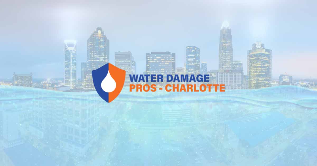 The Water Damage Pros Charlotte — photo