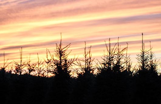 Hopkins Creek Whitetails Ranch - Photo 4