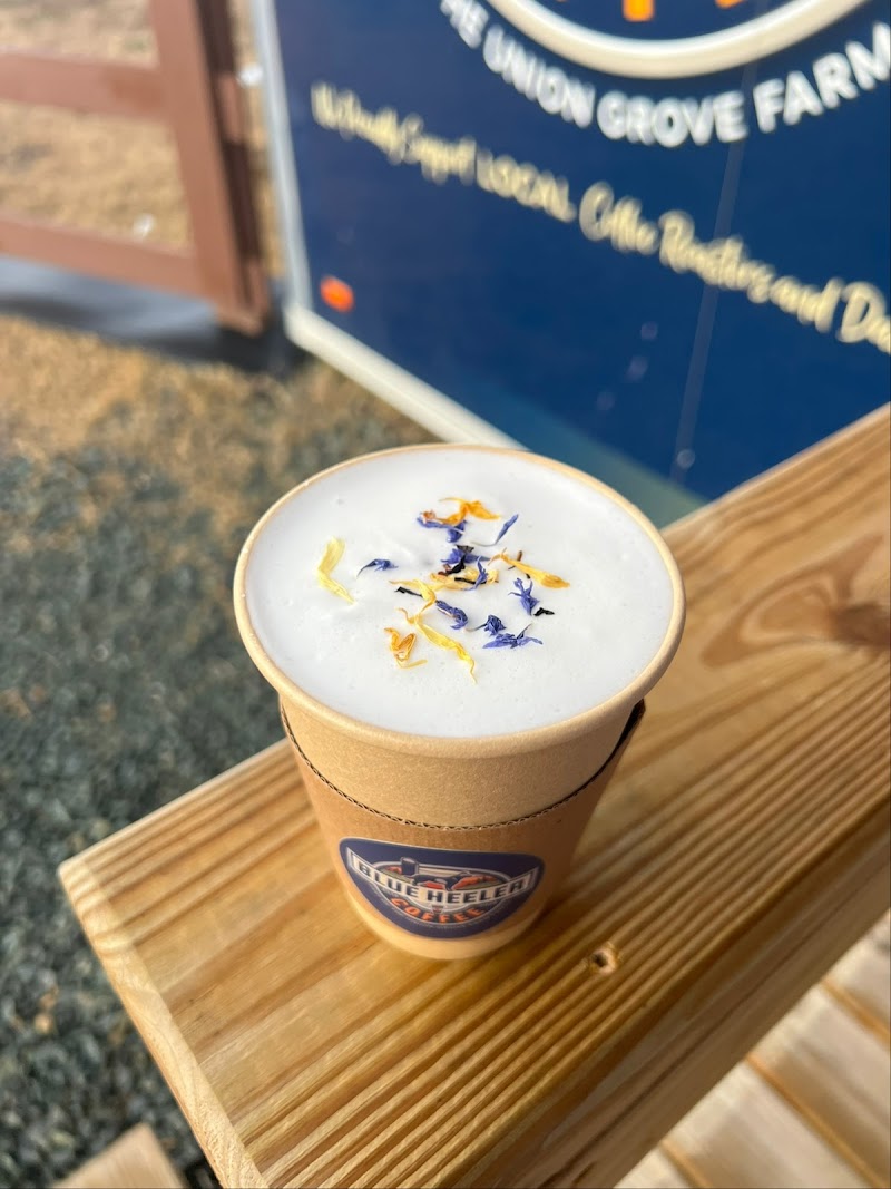 Blue Heeler Coffee photo 2