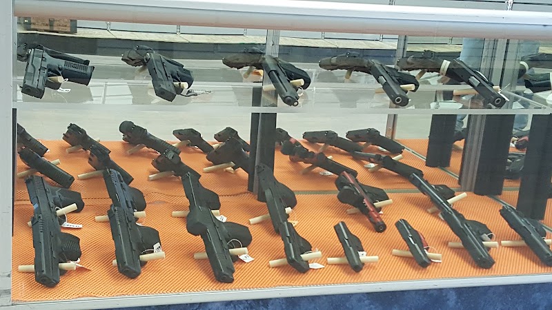 Havik Firearms photo