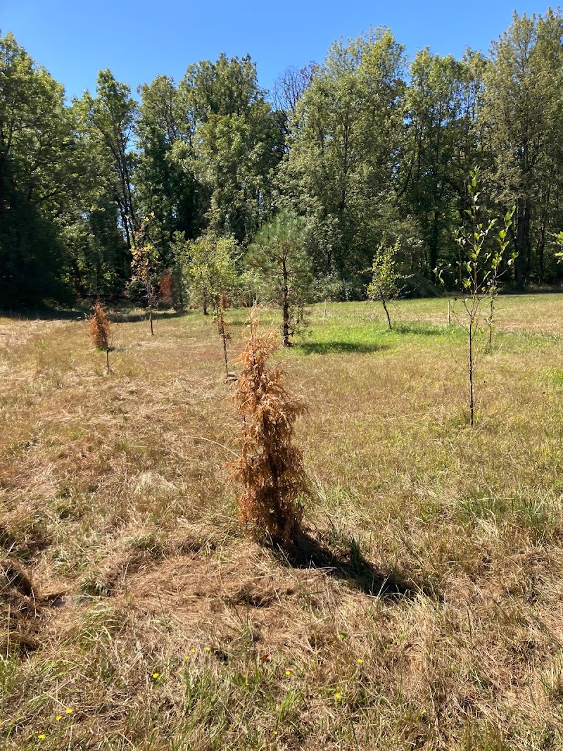 Xerox Disc Golf Course photo 5