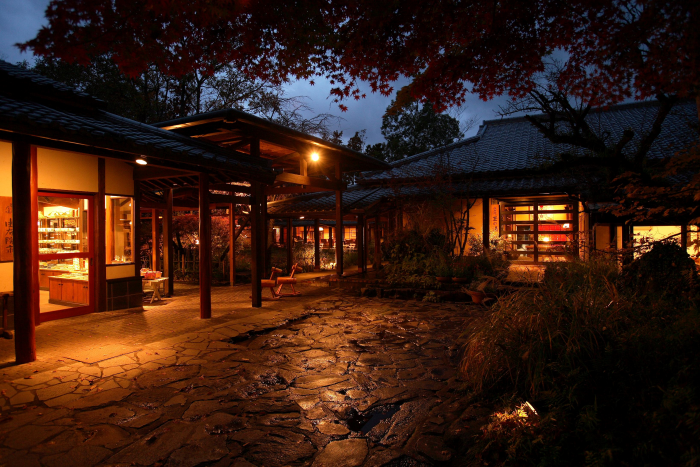 Yufuin Tamanoyu - ryokan in Yufuin, Oita