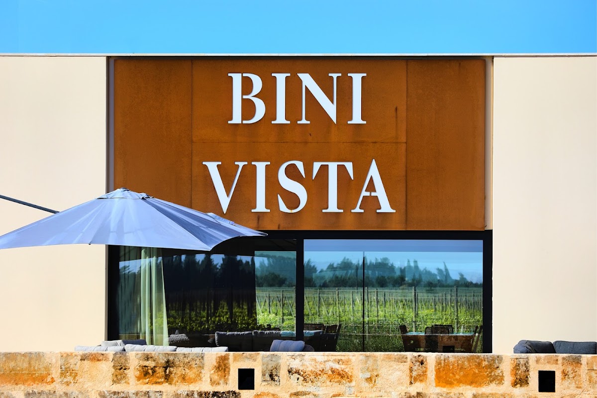 Bodega BiniVista