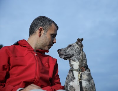 מרכז הכלב והאדם - קורס אילוף כלבים | קורס כלבנות טיפולית | קורס כלבי שירות