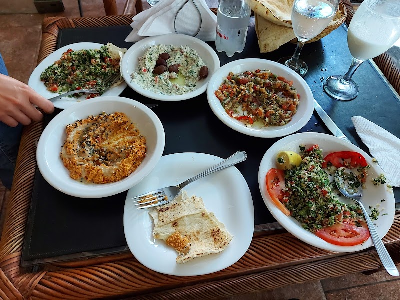 Al Zein Lacroze photo 2