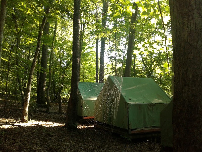 Boy Scouts of America photo