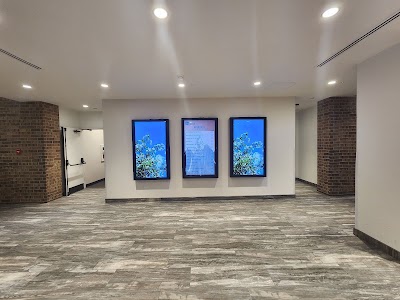 Peak Vitality photo 6