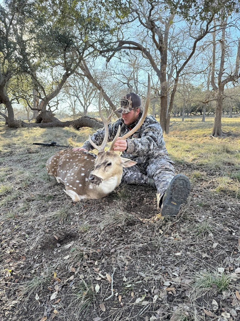 Hill Country Horns - Photo 5
