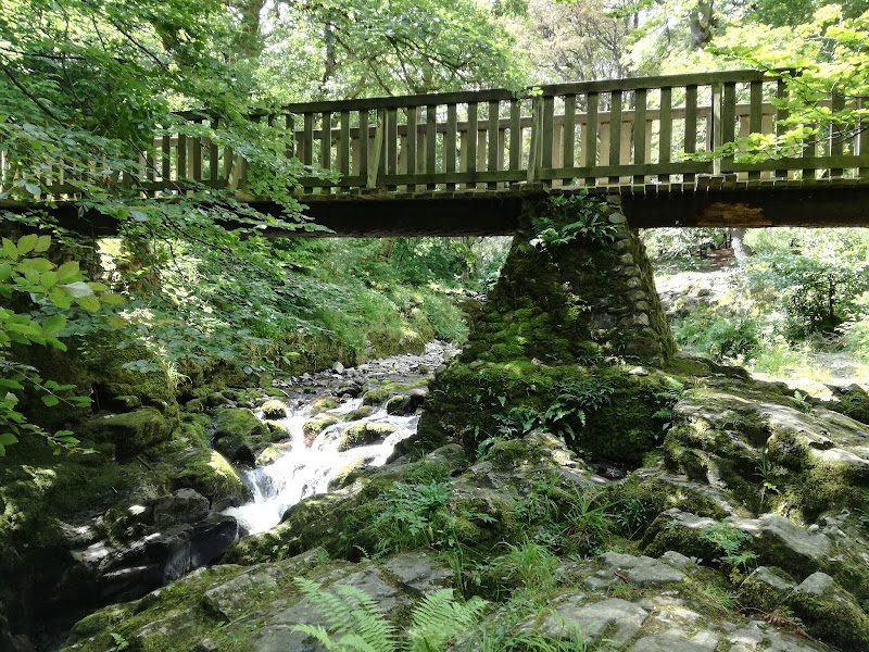 Tollymore Forest Park entrance