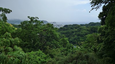 Kamakura Daibutsu Hiking Trail - 5