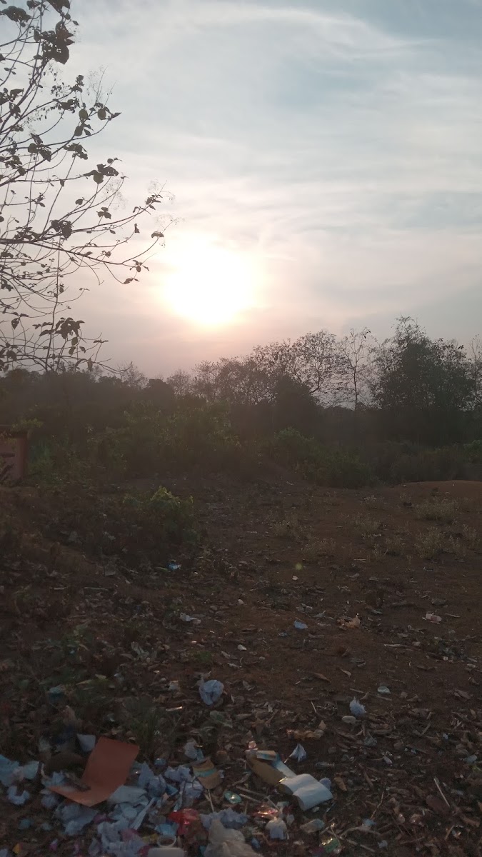 Pintu Sarkar photo 1