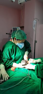 Dr. Mamta Singh - Image 3