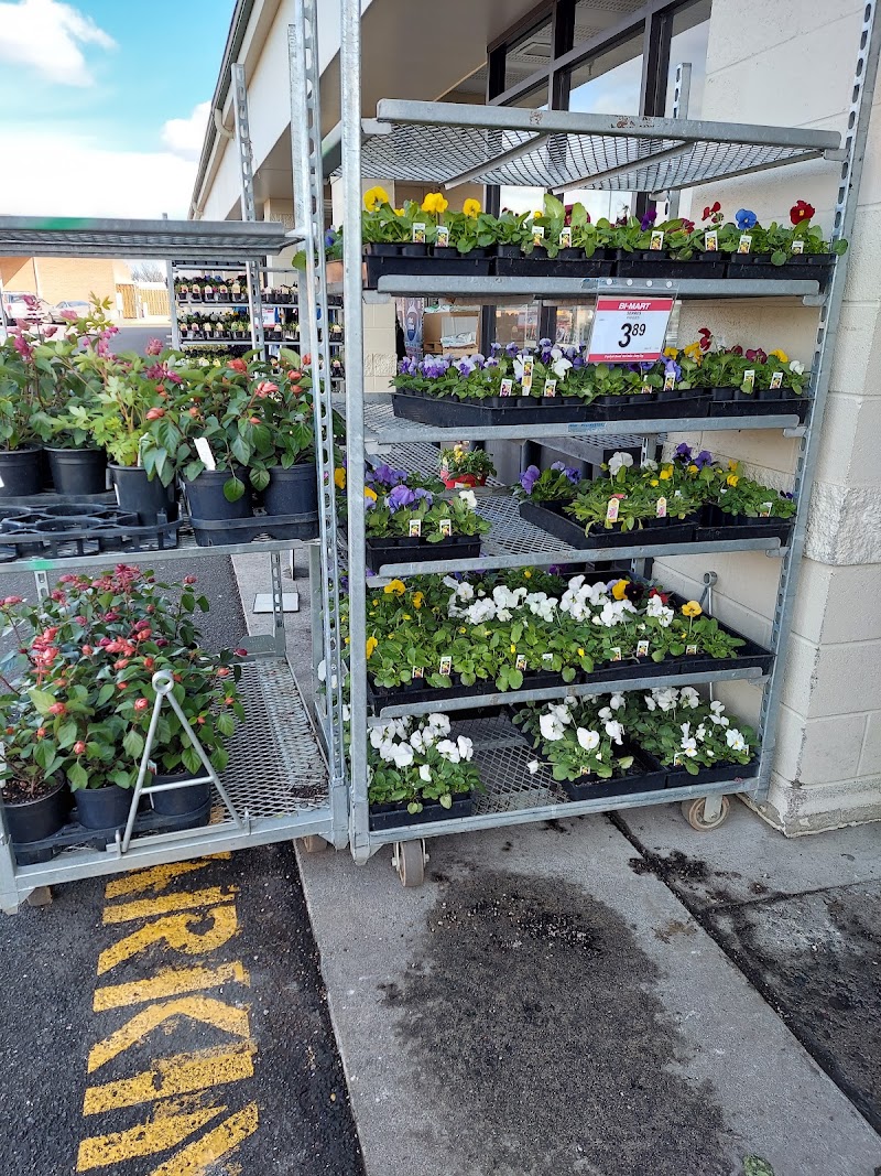 Bi-Mart #619 photo