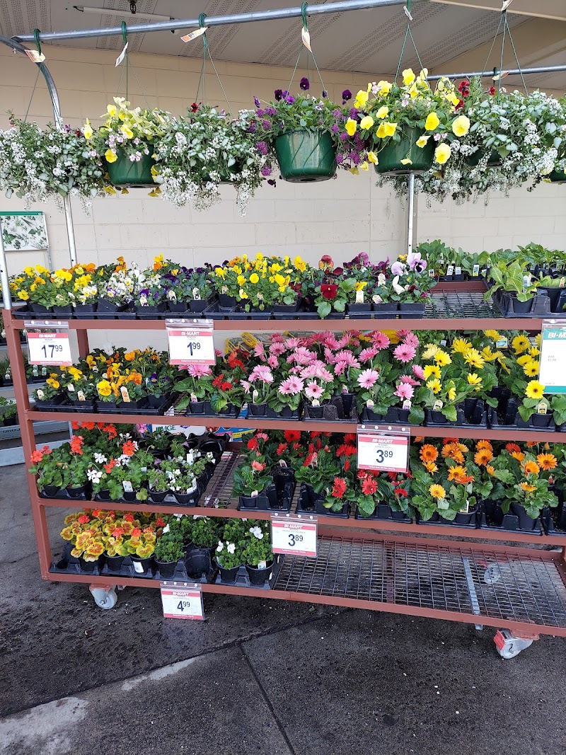 Bi-Mart #619 photo