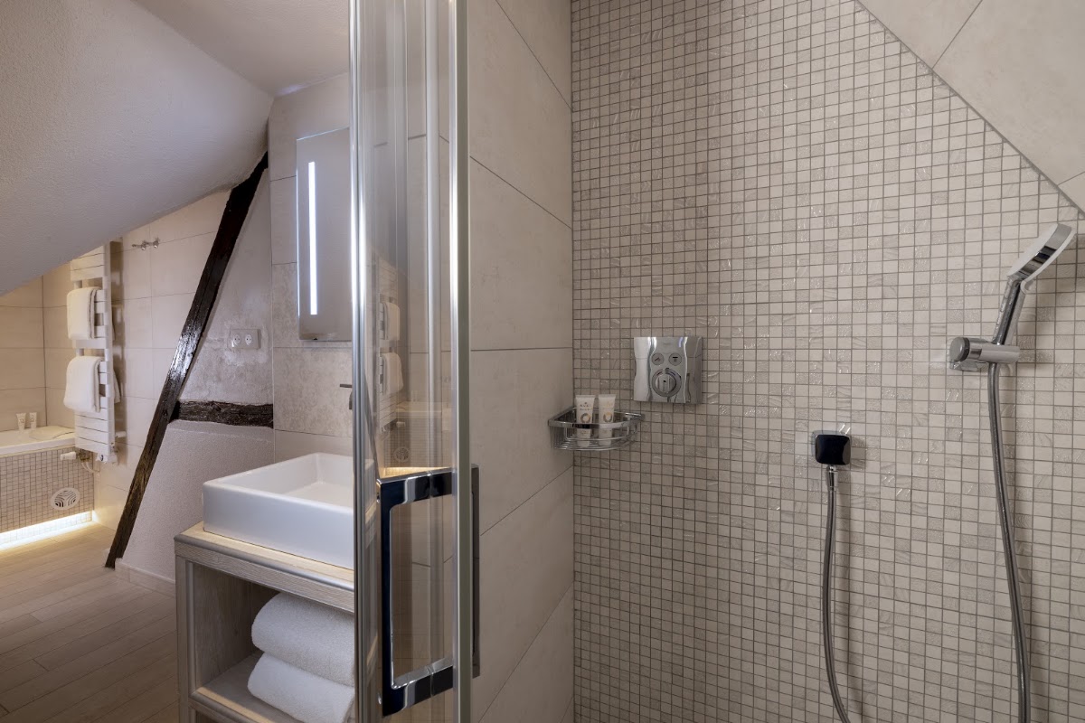 Hôtel Le Maréchal, dog-friendly hotel, photo 4