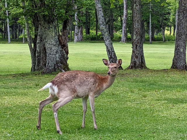 Akan Country Club - Photo 2
