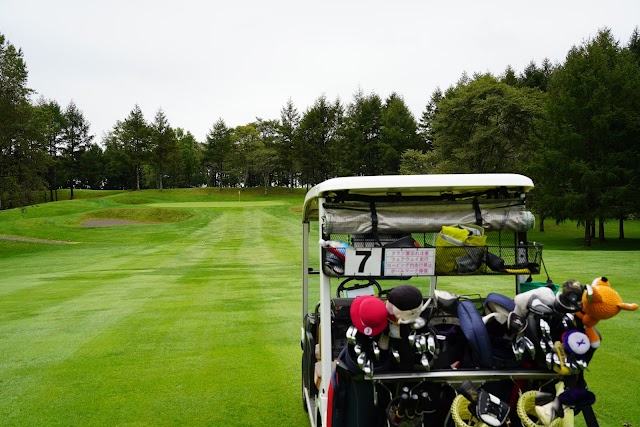 Akan Country Club - Photo 6
