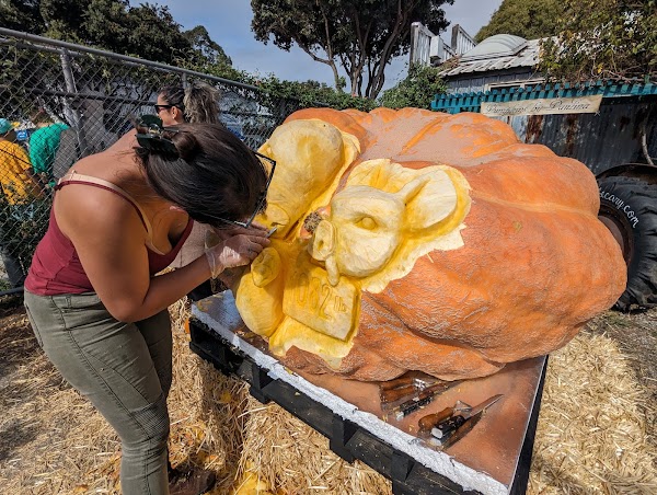 Half Moon Bay Art and Pumpkin Festival 1