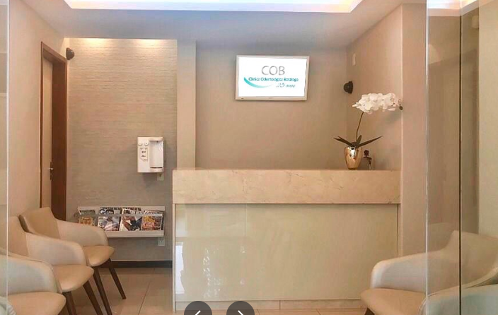 Dra Carolina Santos - Endodontia Microscópica - foto 3