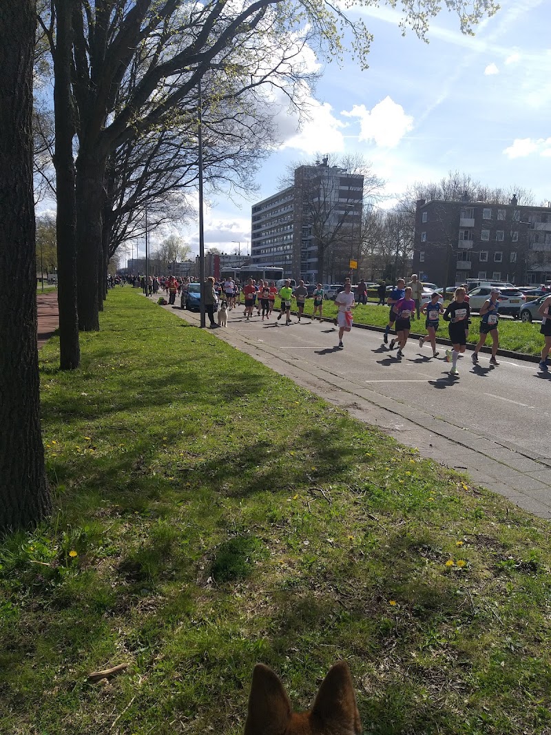 Zuidplein