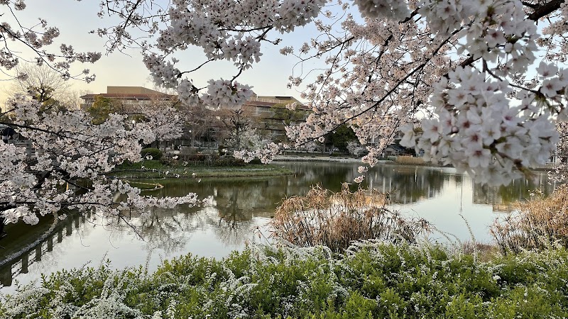 万代池公園