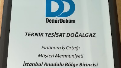 DEMİRDÖKÜM TEKNİK TESİSAT DOĞALGAZ - Kombi Servisi