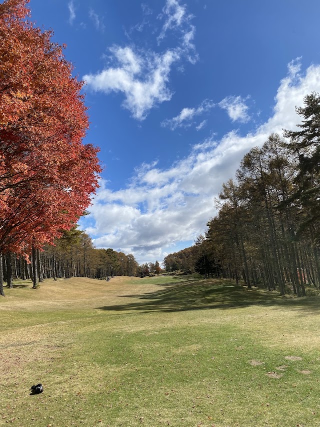Chuo Expressway Harugamine Country Club - Photo 8
