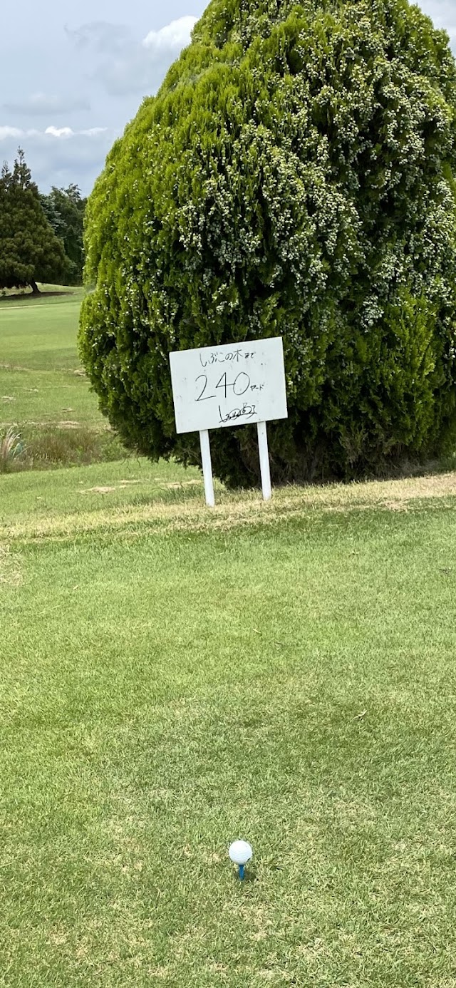 Osafune Country Club - Photo 4
