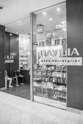 Davilia Mens Hairstylist