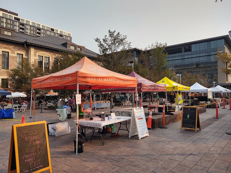 Snooze, an A.M. Eatery photo 1