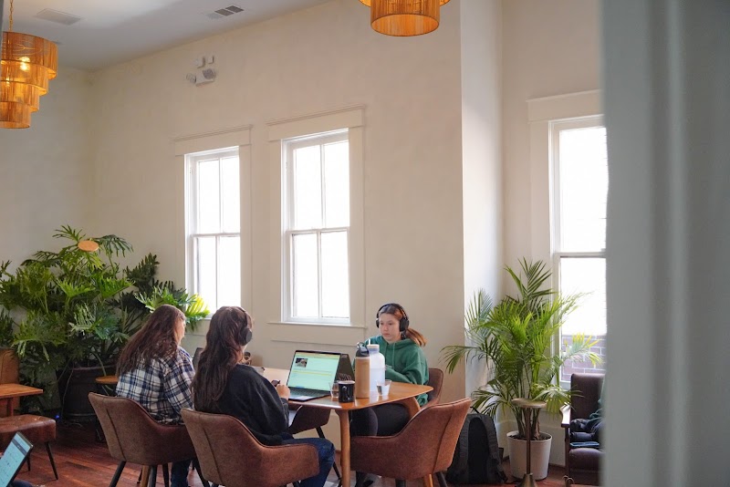 House Eleven photo 4