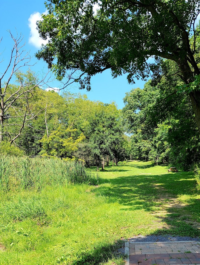 Two Mile Run Extension Disc Golf Course photo 2