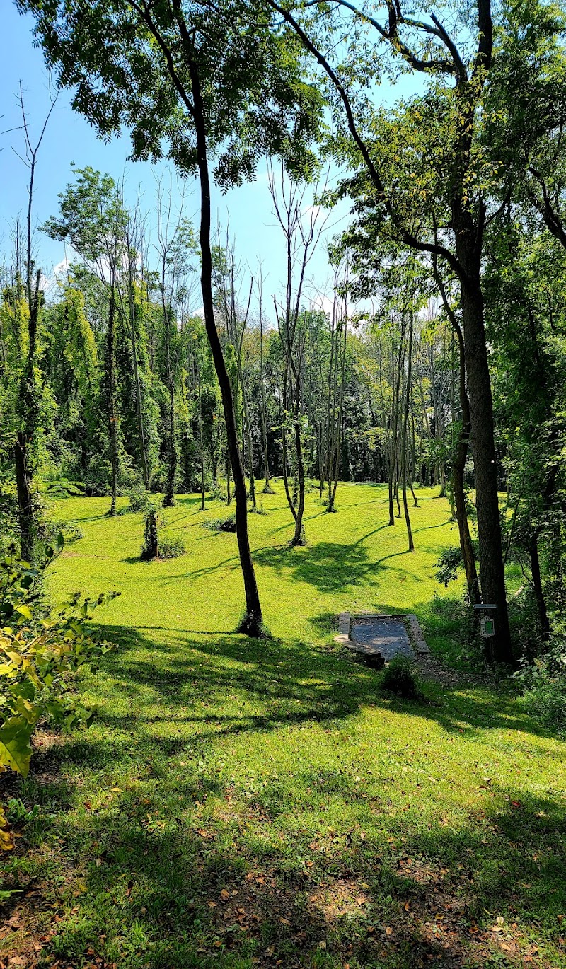 Two Mile Run Extension Disc Golf Course photo 5