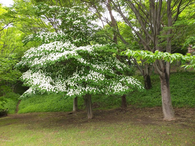 Tama Country Club - Photo 6