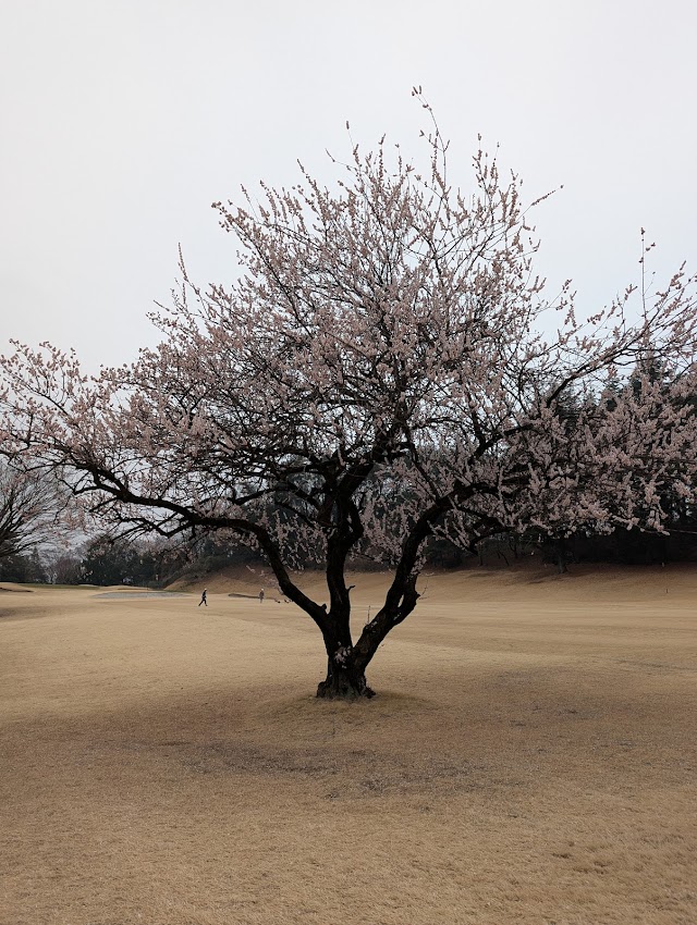 Tama Country Club - Photo 2