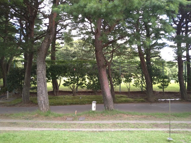 Tama Country Club - Photo 7