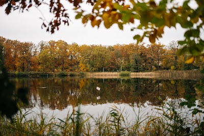Naturbadestelle am Gohlitzsee
