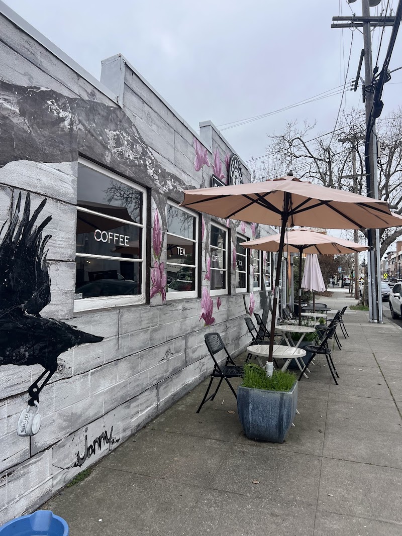 Petaluma Coffee & Tea Co. photo 2