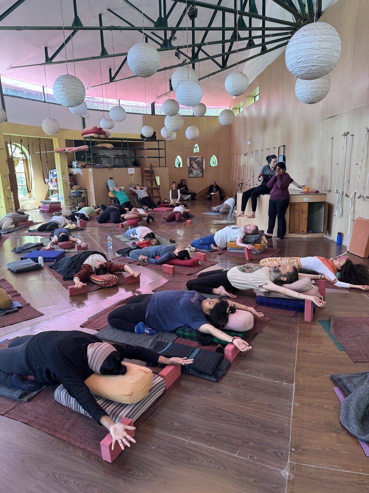 Himalayan Iyengar Yoga Centre (HIYC) — 4