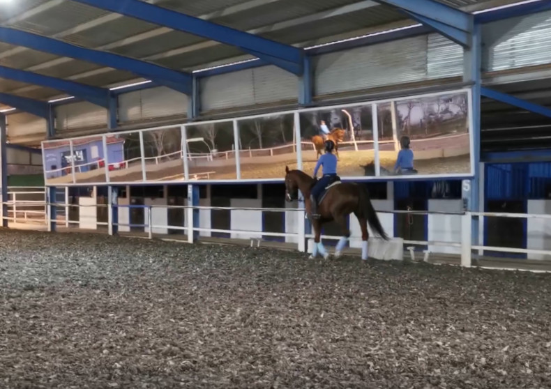 C.d.e Hípico Soto del Grillo