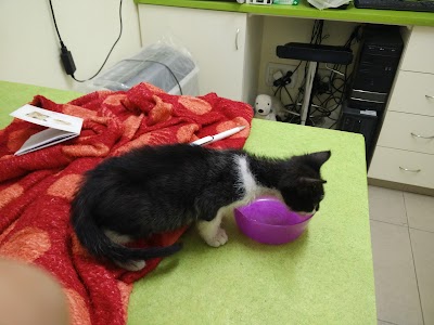 הוטרינריות בהרצליה