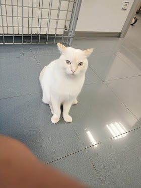 Clinica Veterinaria Vitoria SL -Gasteiz