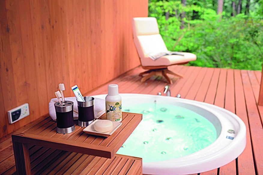 Hotel Bleston Court - hotel in Karuizawa, Nagano (3)