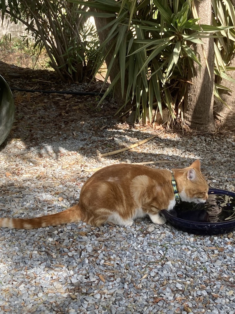 Centro Veterinario Axarvet
